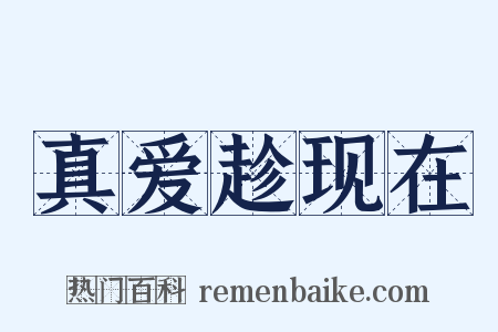 真爱趁现在是什么意思的图片